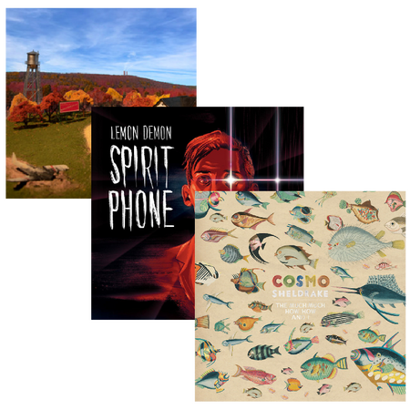 how do i feed this thing